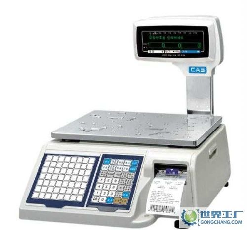 Product picture CAS LP-II Service manual 